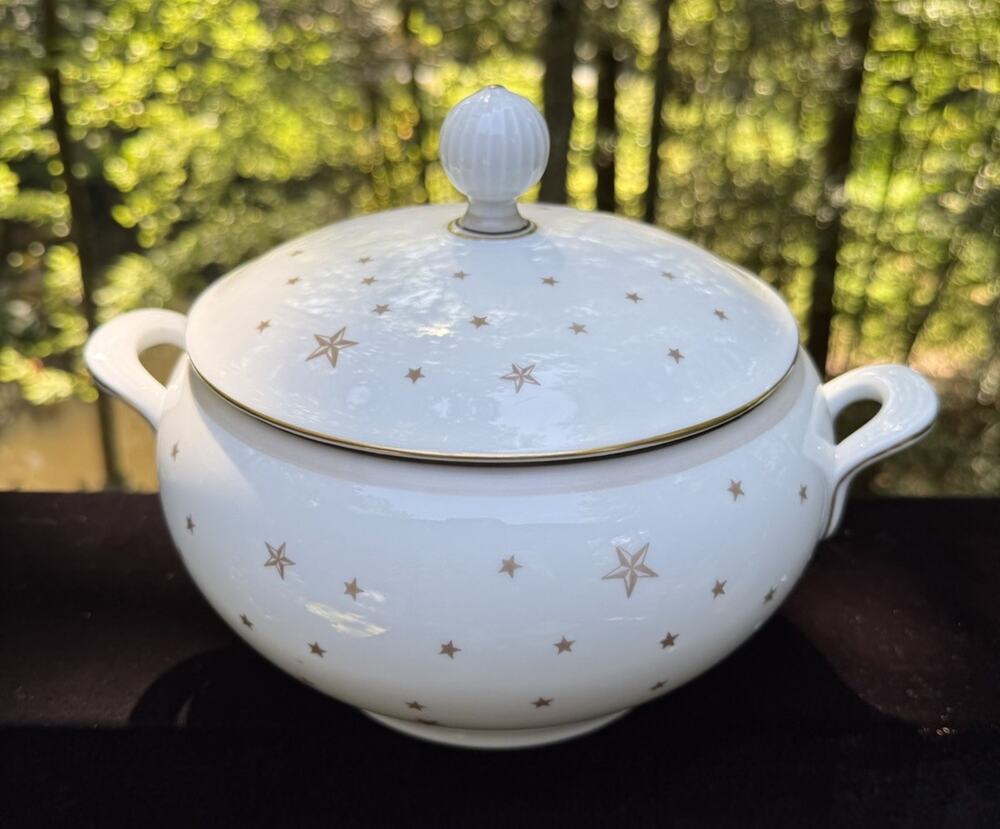 Rare Vintage Bing & Grondahl Milky Way Gold Star Pattern Covered Soup Tureen EUC